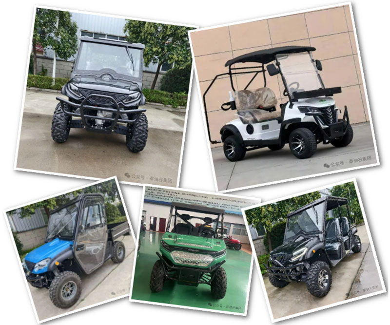 泰油谷集团绿驰新能源UTV车亮相第138届广交会